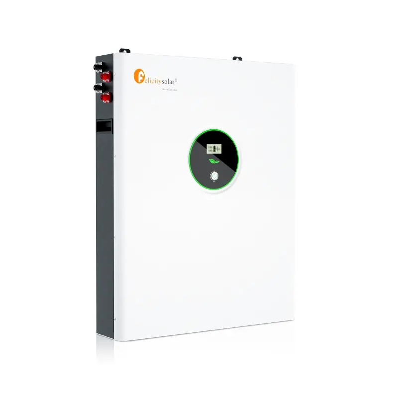 Felicity 10KWh LPBA48200 LiFePO4-batterij