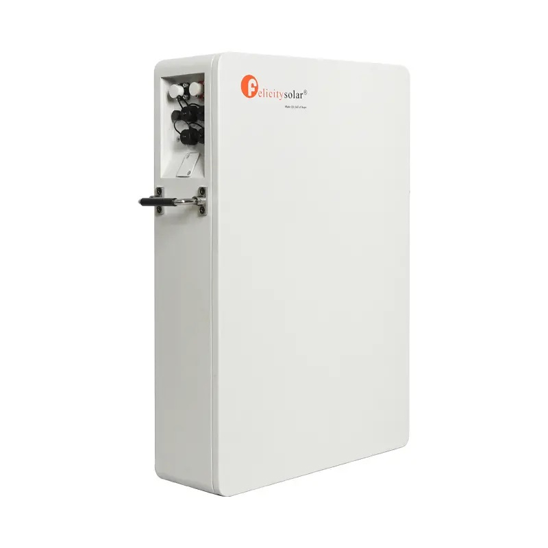 Felicity 5KWh LPBA48100-OL LiFePO4-batterij