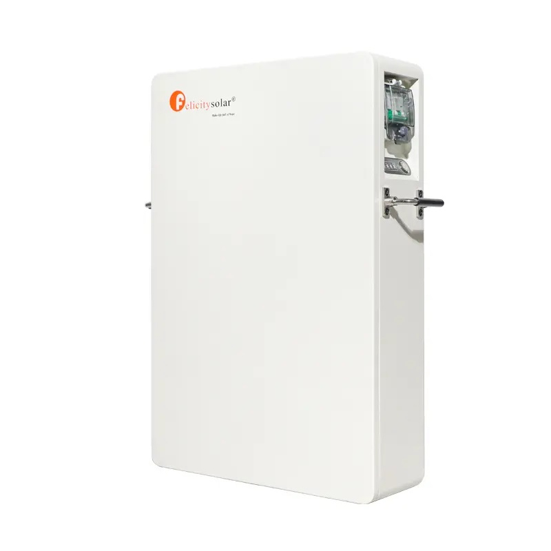 Felicity 5KWh LPBA48100-OL LiFePO4-batterij